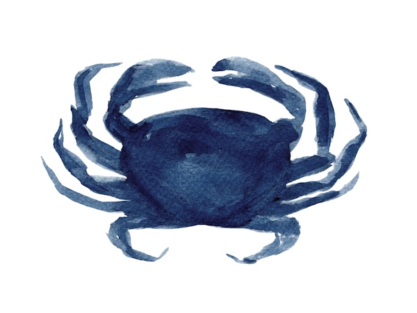 Crab