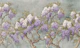 Wisteria Elegant Story Moody Green