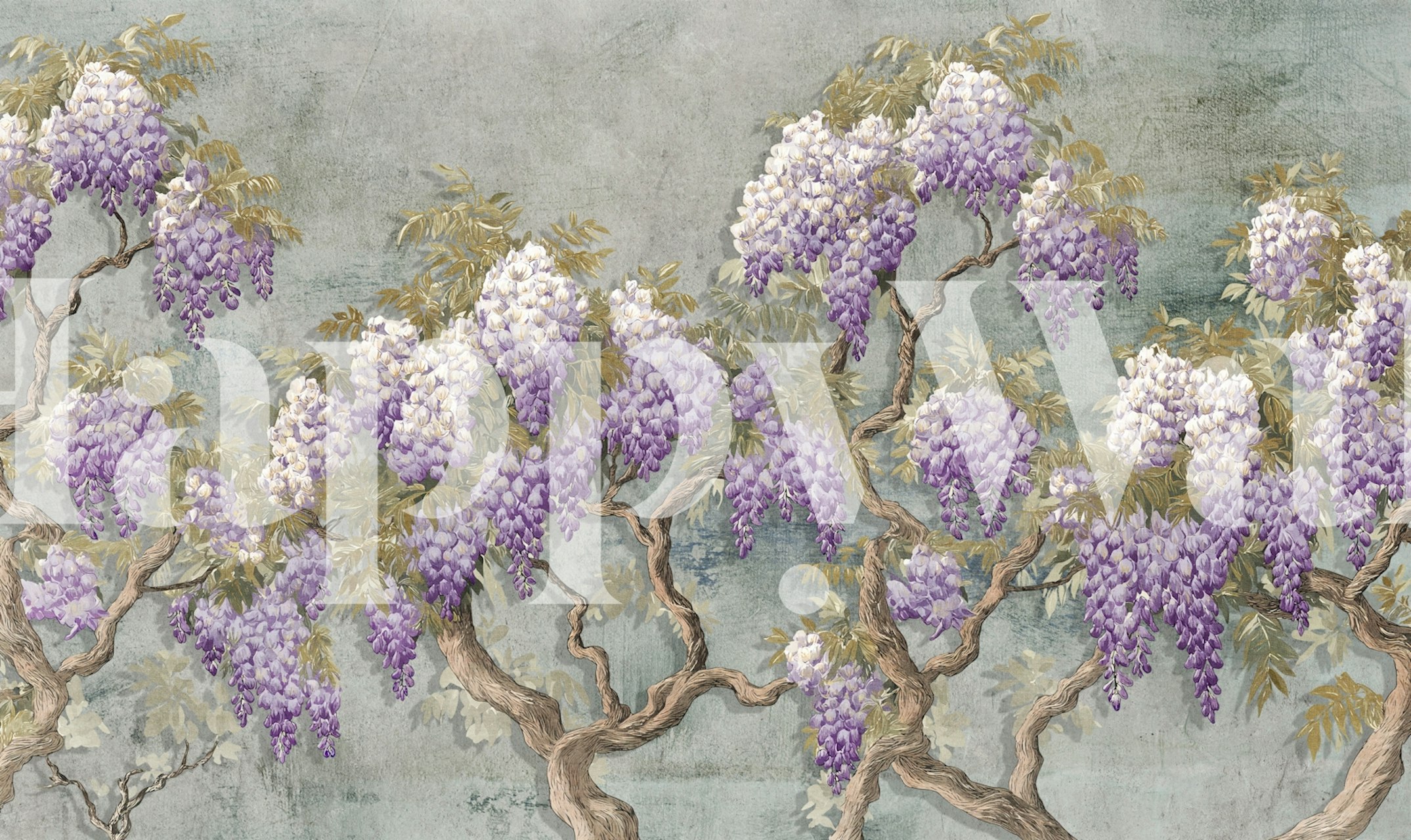 Wisteria flowers in purple and white, leafy green branches, floral wallpaper