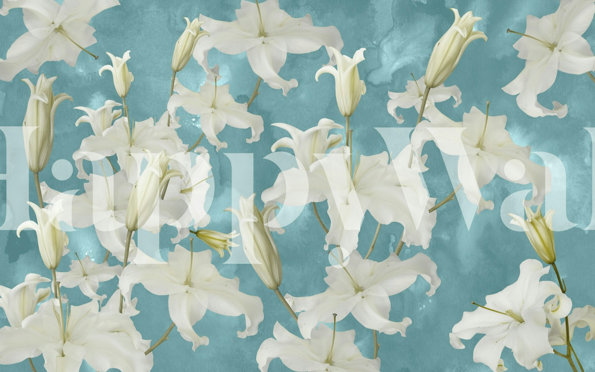 White Lily Blossom Glam 1a wallpaper in a room