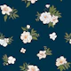 Wild Roses on Blue