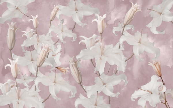 White Lily Blossom Glam 2a