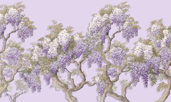 Wisteria Elegant Story Lavander