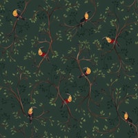 Toucanets - Pine Green carta da parati