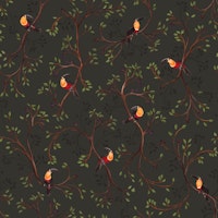 Toucanet - Grafiti tapete