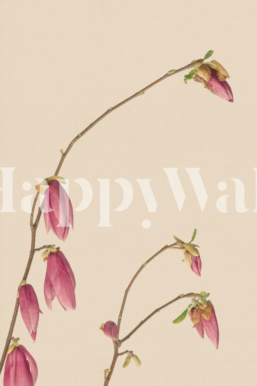 Fototapeta s růžovými květy na pozadí připomínajícím vintage papír