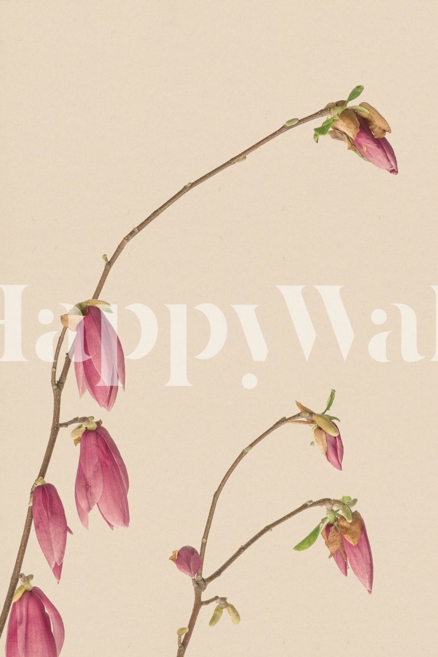 Pink flowers on aged background with leaves wallpaper