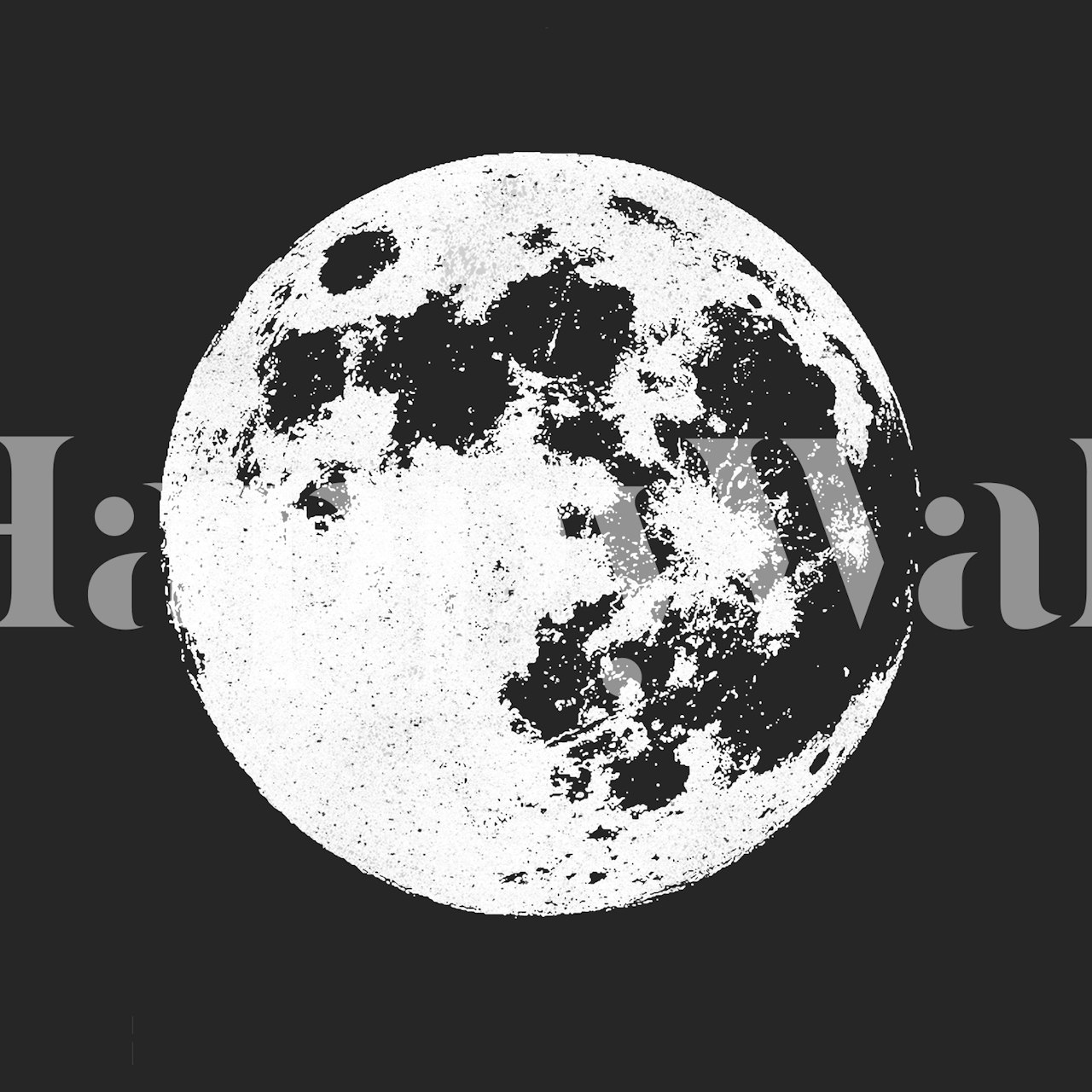 Full moon shining bright bakgrunn