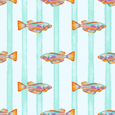 Pattern