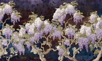 Wisteria Elegant Story Dark Night wallpaper
