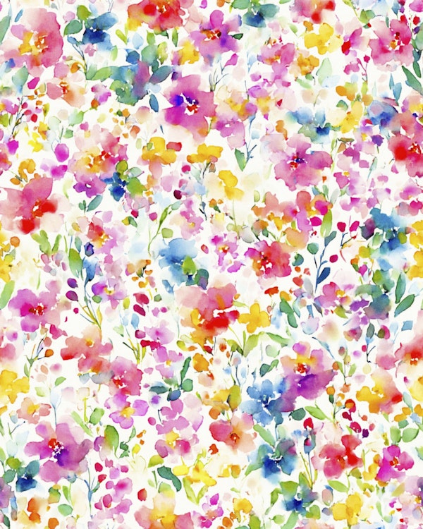 Colorful Midsummer Whimsical Meadow