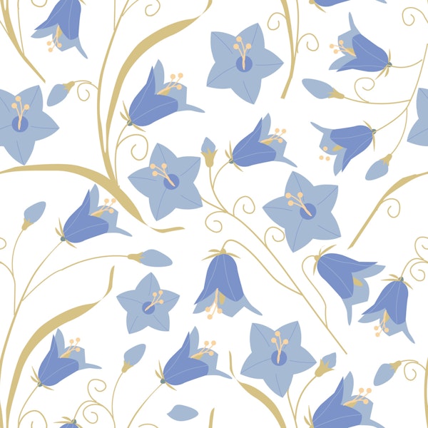 Blue Bellflower Floral Pattern on White