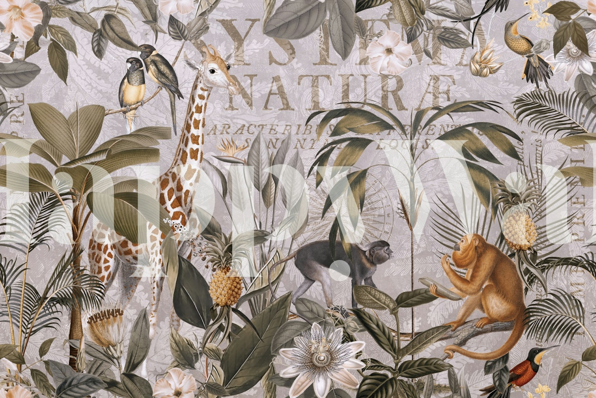 Jungle Journey Vintage Safari wallpaper in de kamer