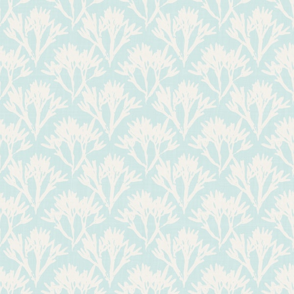 seaweed scallop - aqua neutral