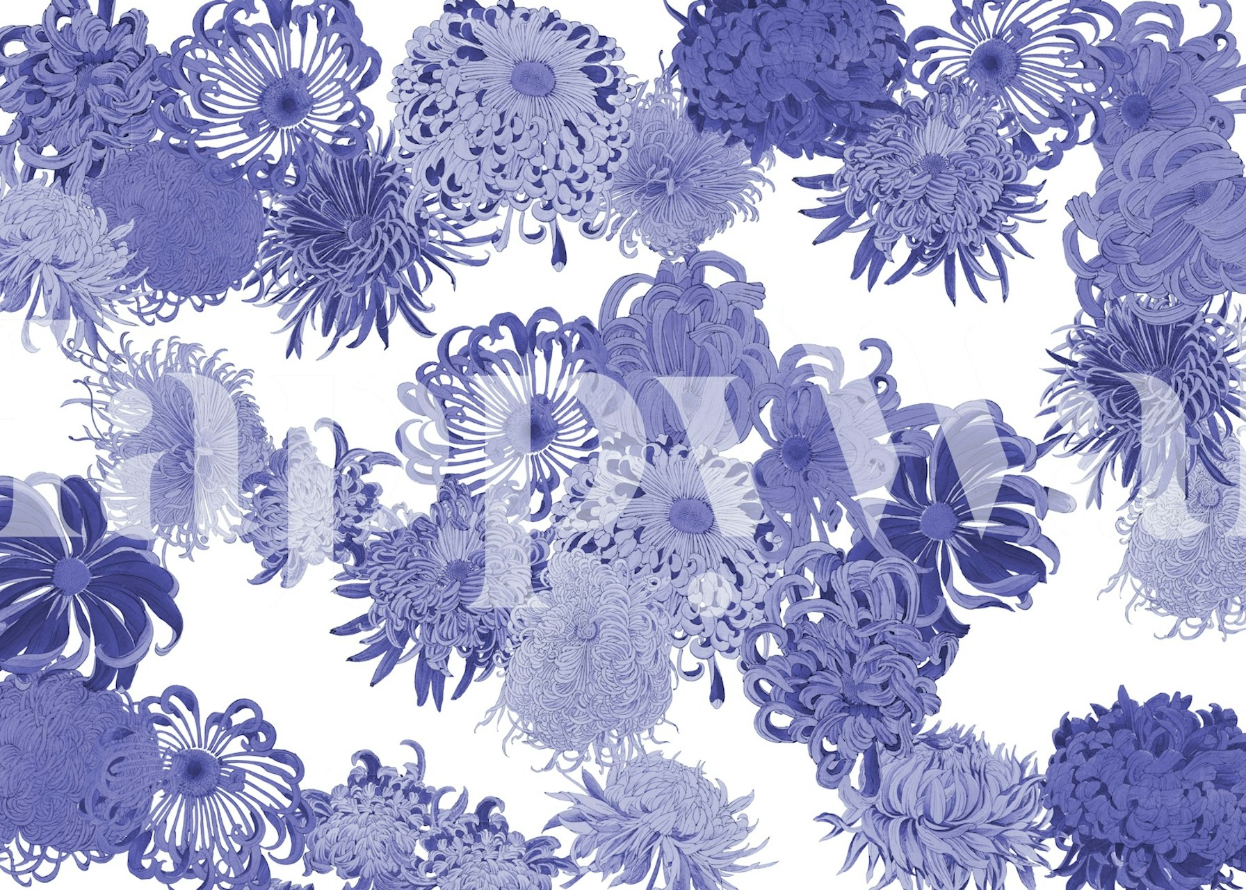 Purple floral wallpaper with various flower shapes and designs
