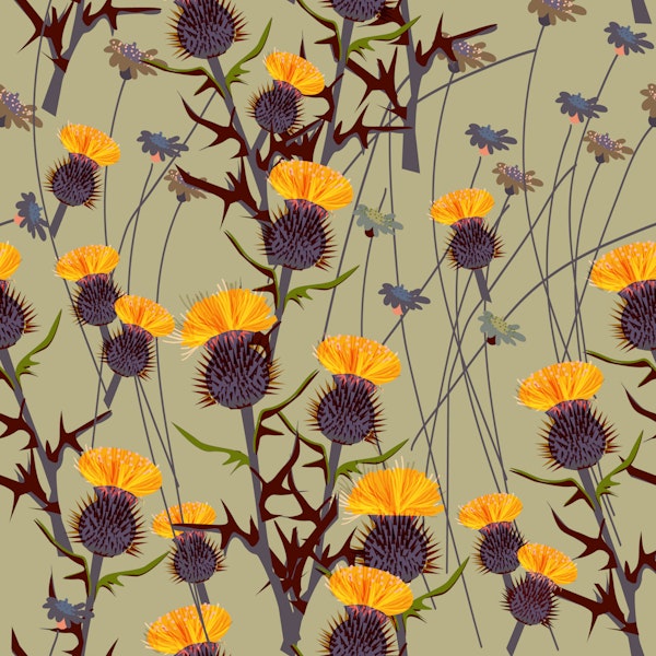 Golden Thistle on Olive