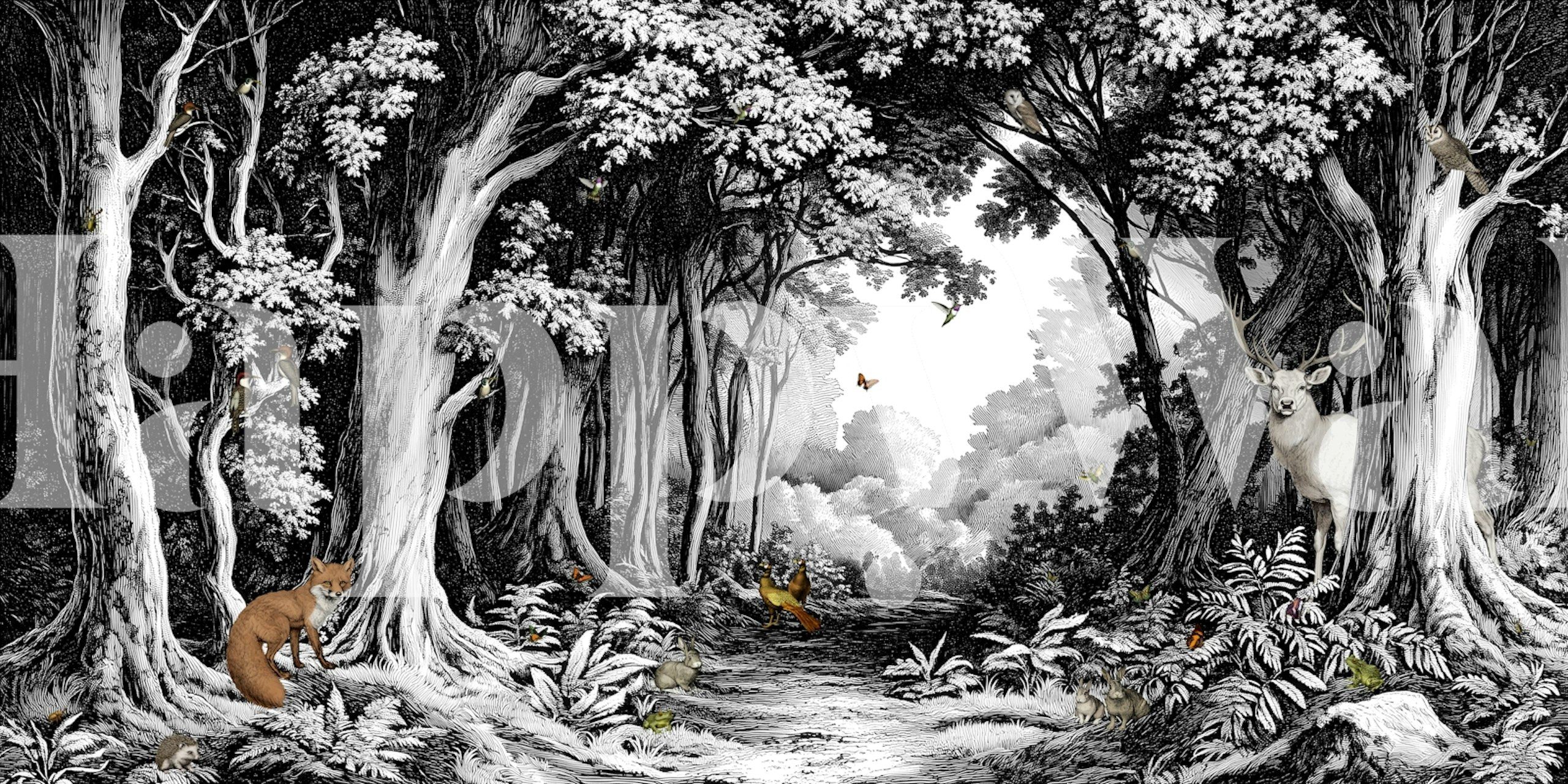 Black and white forest scene with deer, foxes, and trees wallpaper