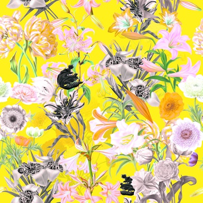 Pattern