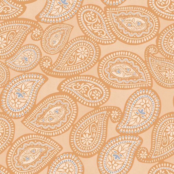 Elegant Paisley Charm