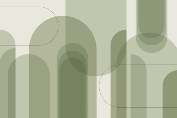 Calm Curves in Olive Green