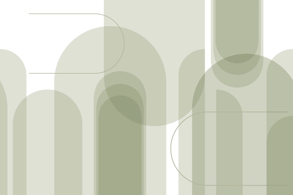 Calm Curves in Olive Green
