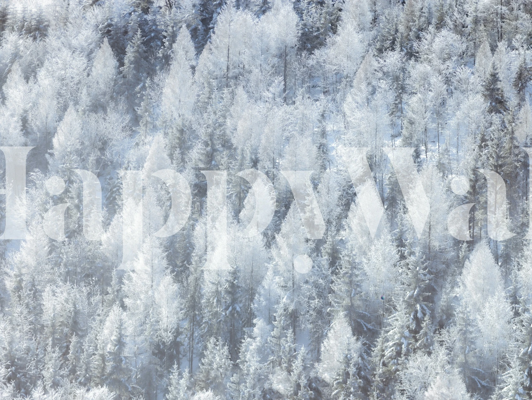 Frosted woodland wallpaper design in a room