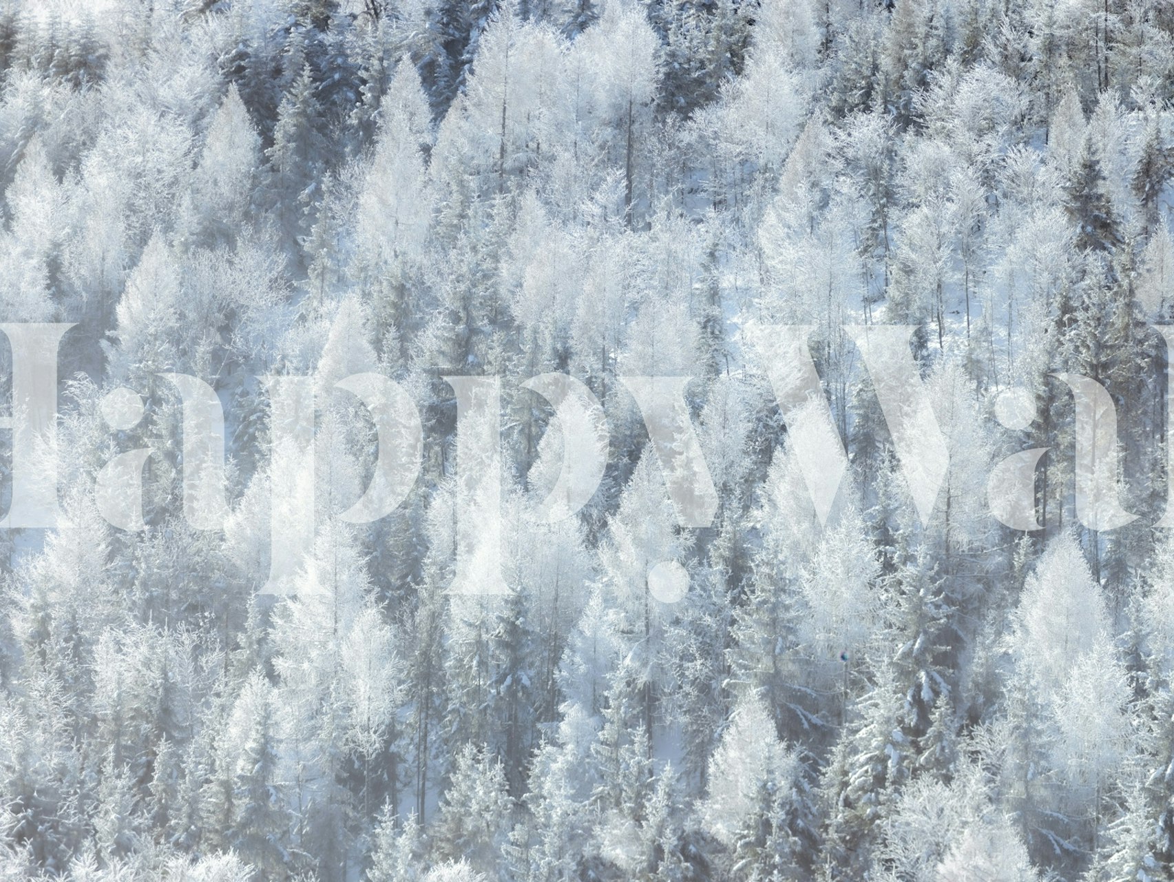 Frosted woodland wallpaper design in a room