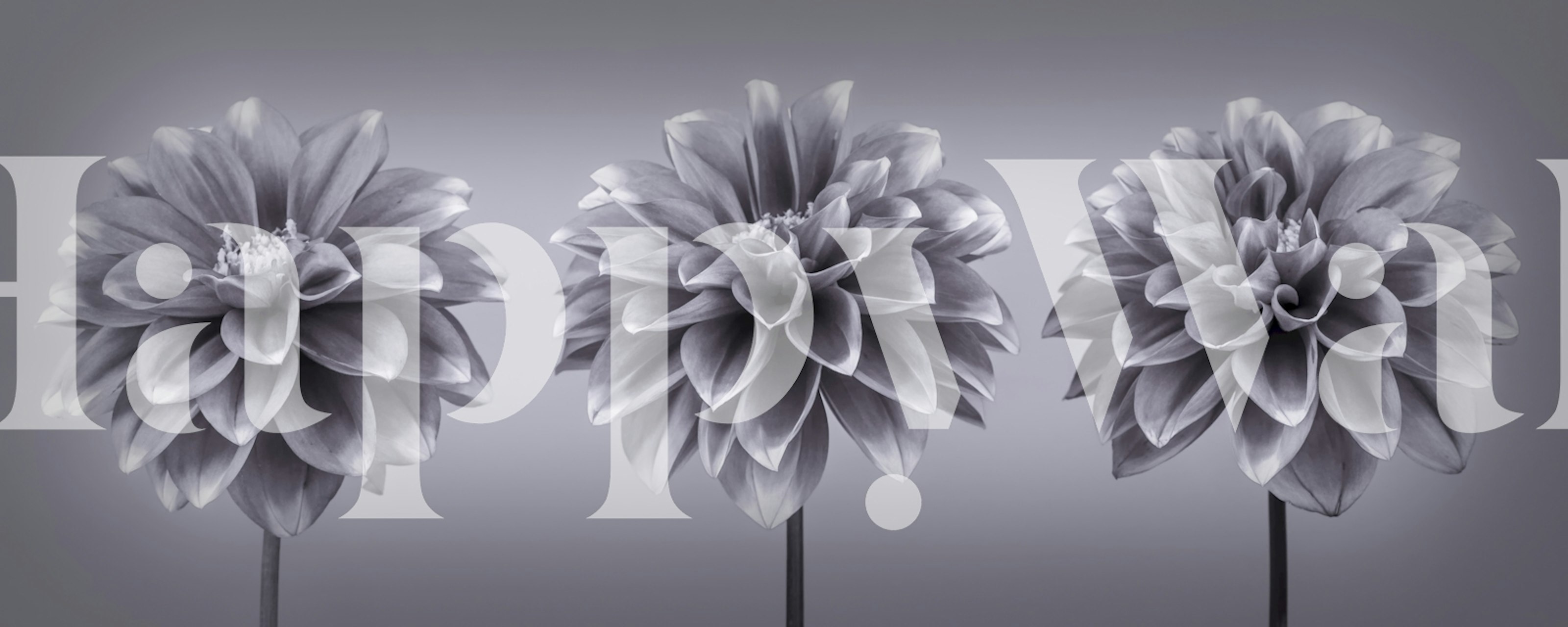 Monochrome Floral Trio ταπετσαρία σε ένα δωμάτιο