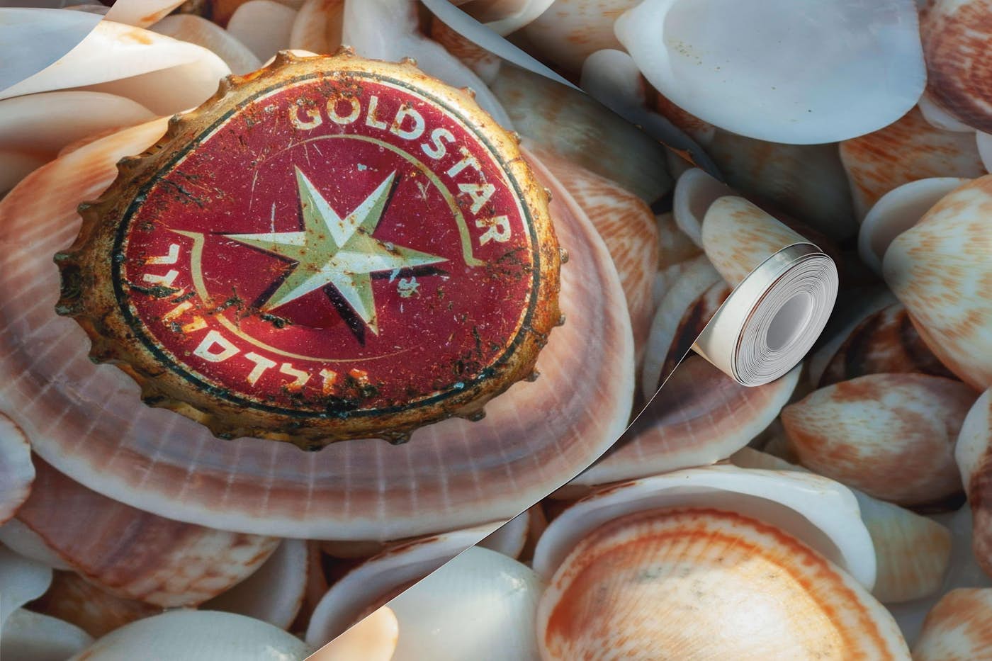 Coastal Seashell Collection wallpaper roll