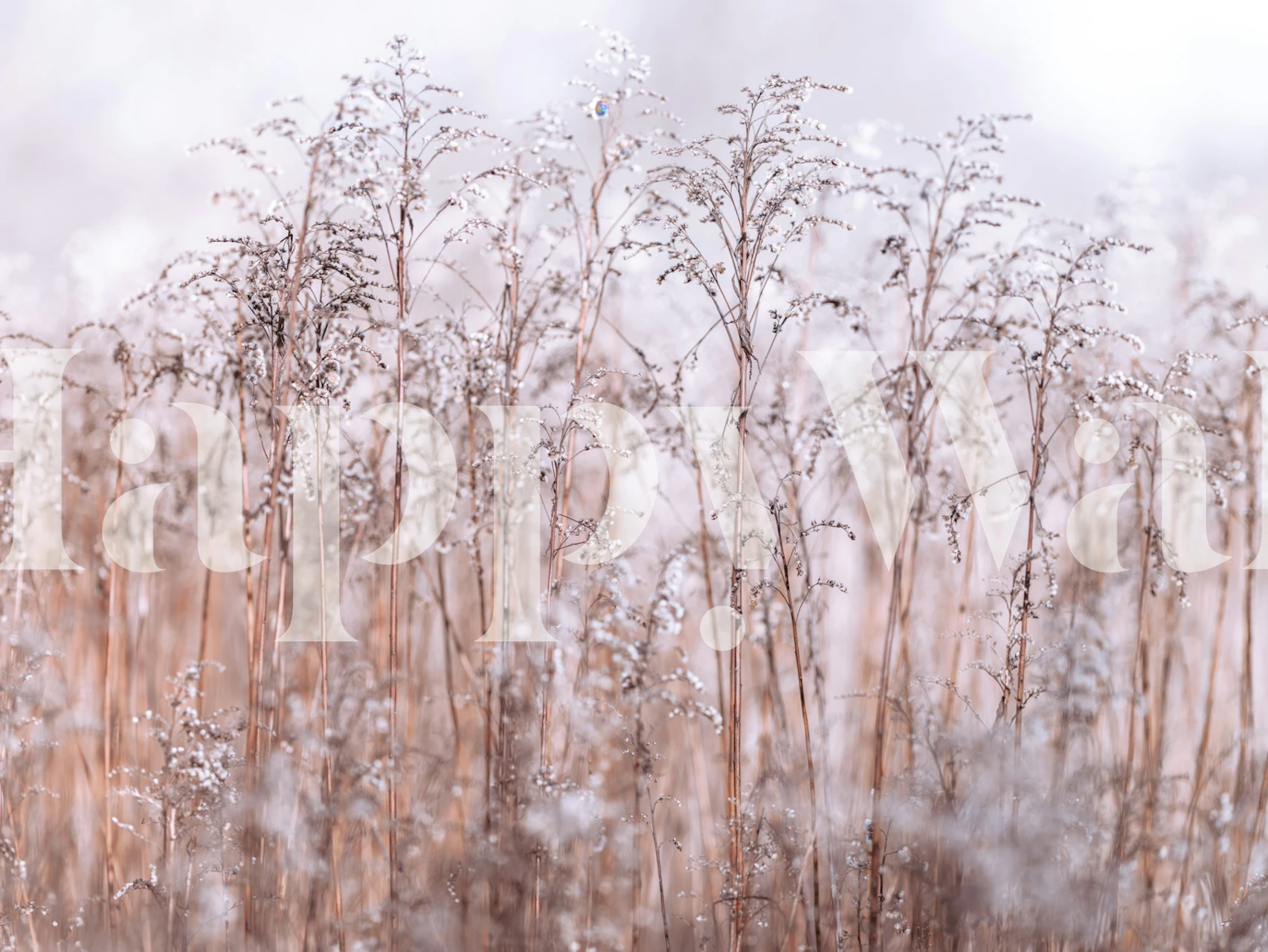 Whispering Winter Reeds wallpaper in a room