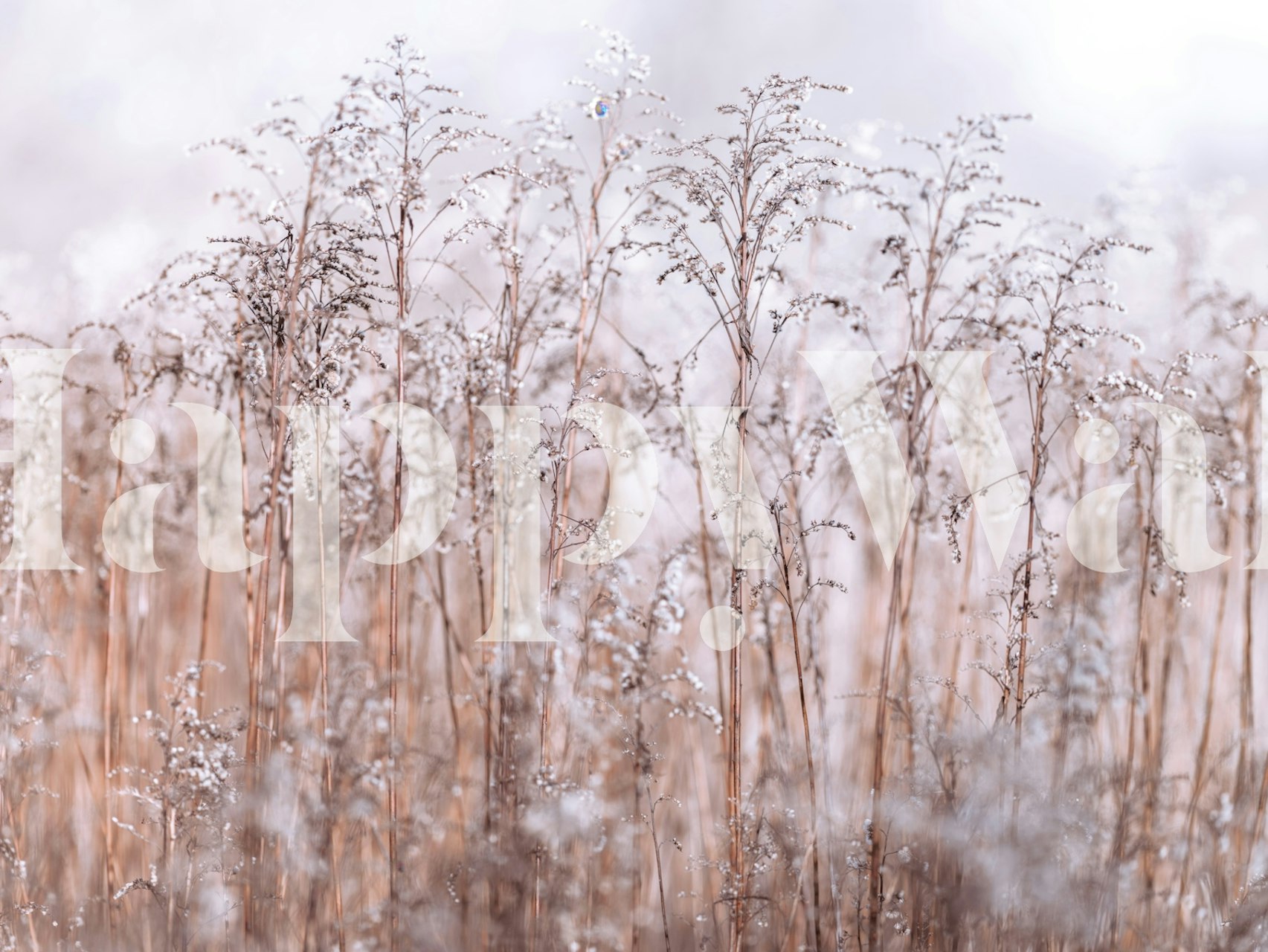 Ταπετσαρία Whispering Winter Reeds σε ένα δωμάτιο