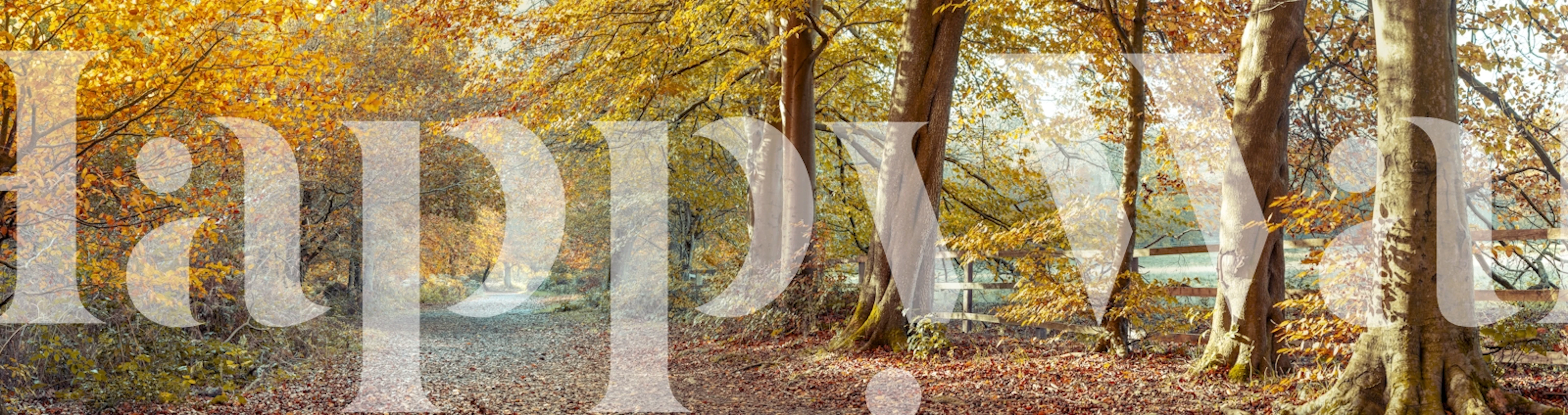 Pathway in Fall Splendor wallpaper in a room