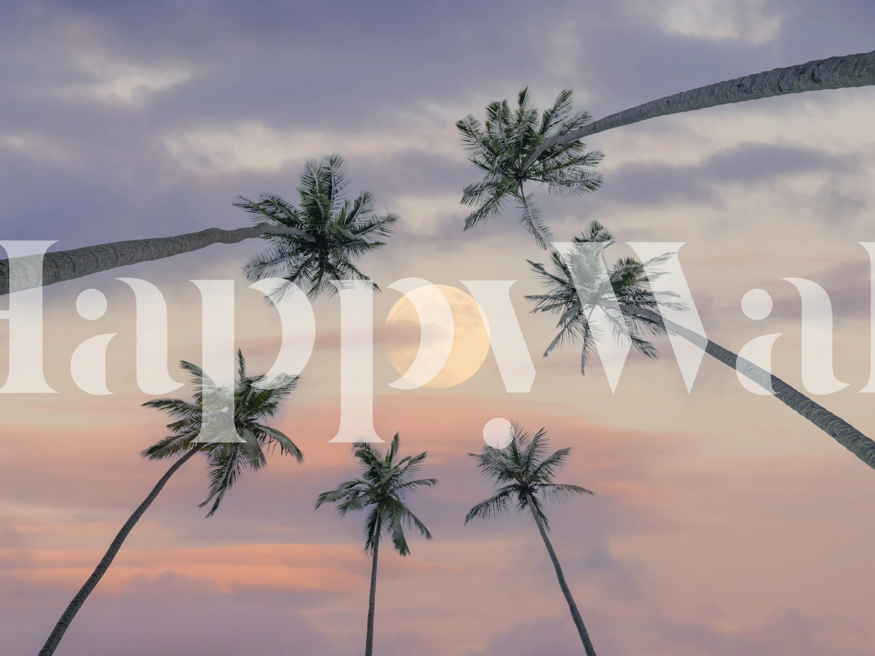 Tapeta Moonlit palms u sobi