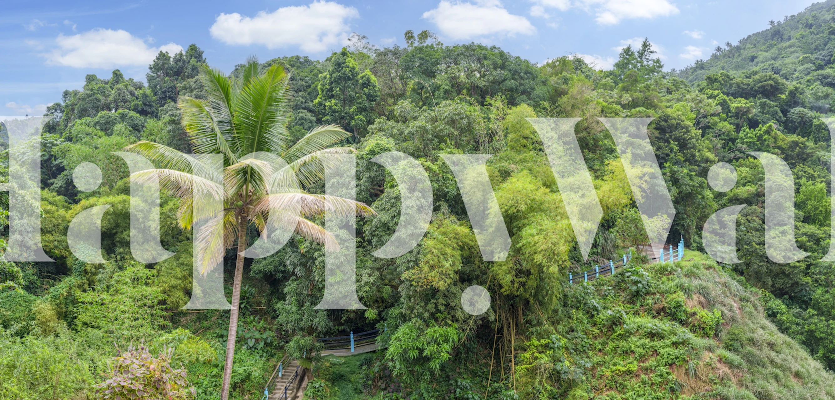Lush green jungle wallpaper with trees and palm leaves