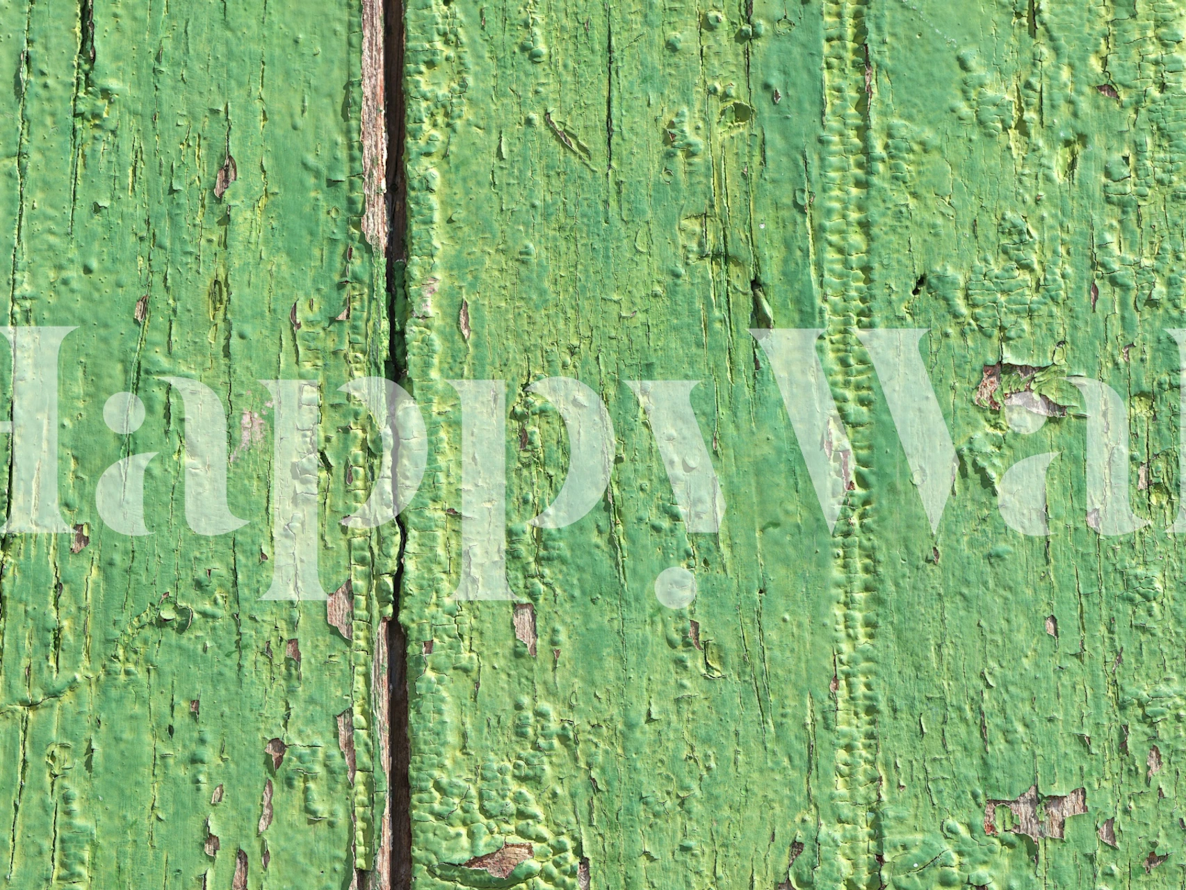 Weathered green timber wallpaper in a room
