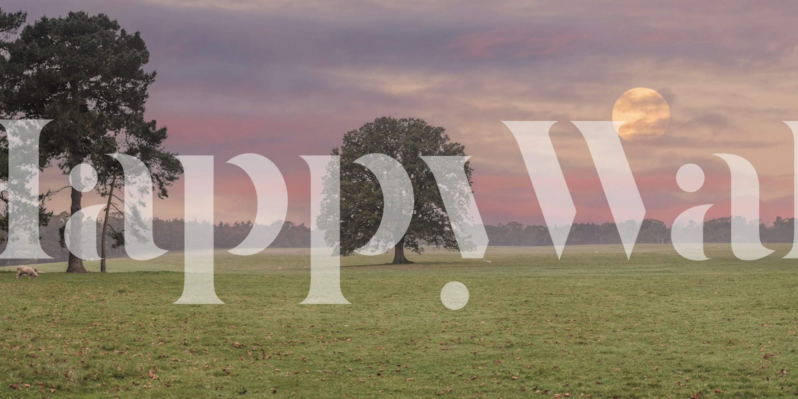 Calm Fields Under Moonlight wallpaper in a room