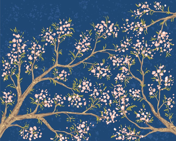 Pink Blossoms - Blue