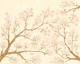 Pink Blossoms - Warm