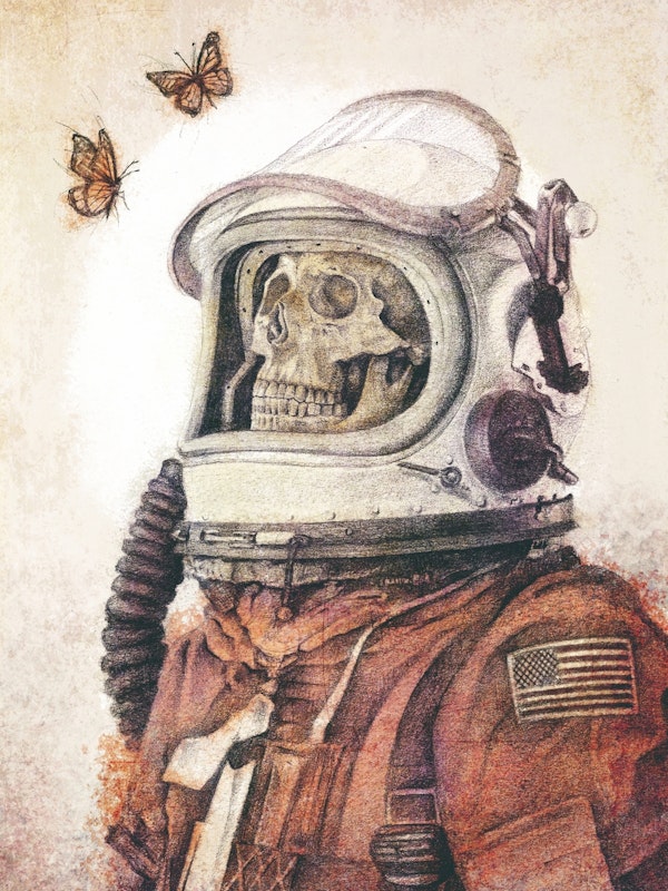 Butterflies in Spaces