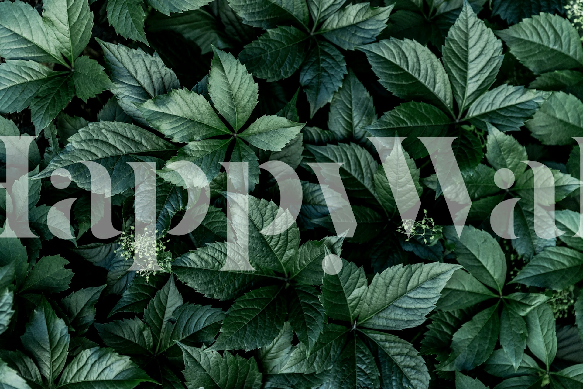 Lush green leaves with various shapes and shades wallpaper