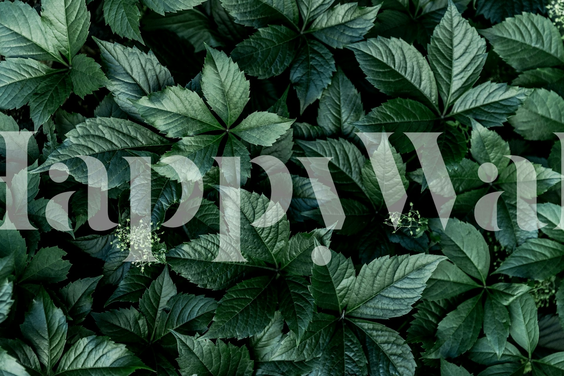 Deep Forest Leaves behang in een kamer