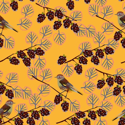 Pattern
