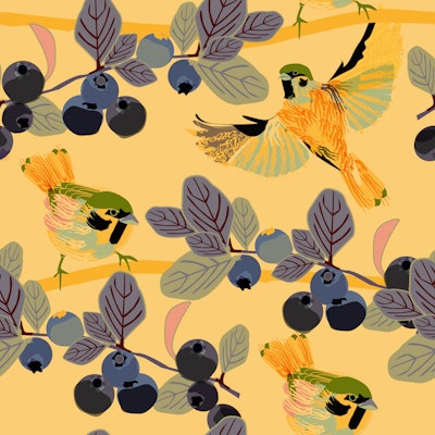 Pattern