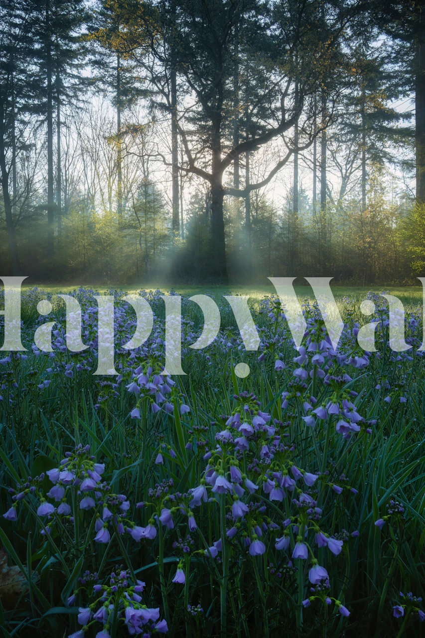 Enchanted Forest Dawn wallpaper in a room