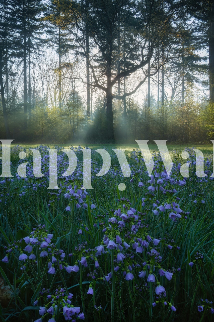 Enchanted Forest Dawn wallpaper in a room