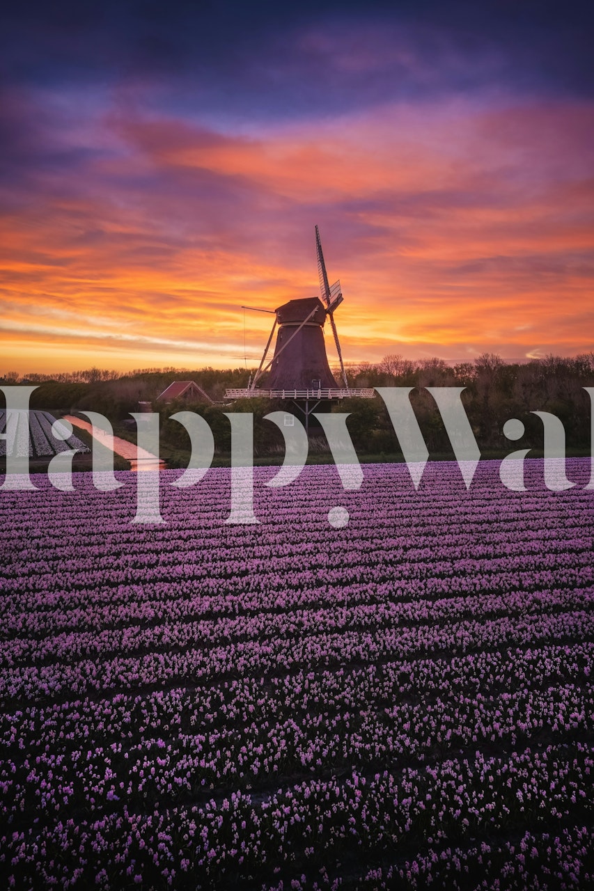 Ταπετσαρία Twilight in Tulip Country σε ένα δωμάτιο