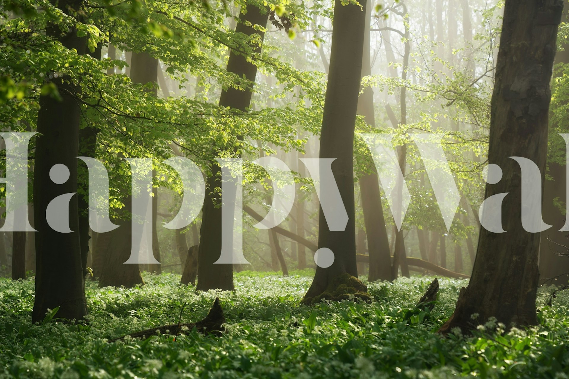 Lush wild garlic forest ταπετσαρία σε ένα δωμάτιο