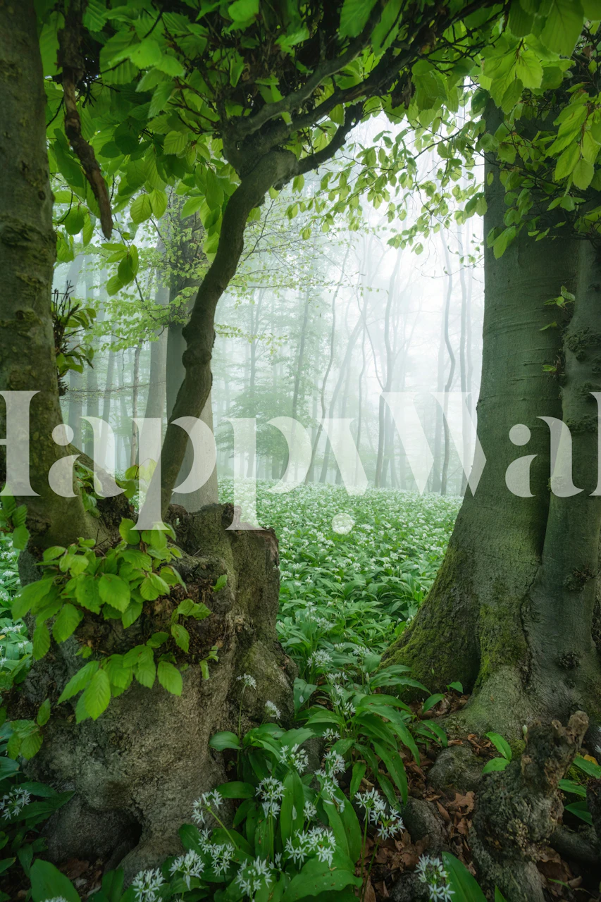 Trees with green leaves and white flowers in a foggy forest wallpaper