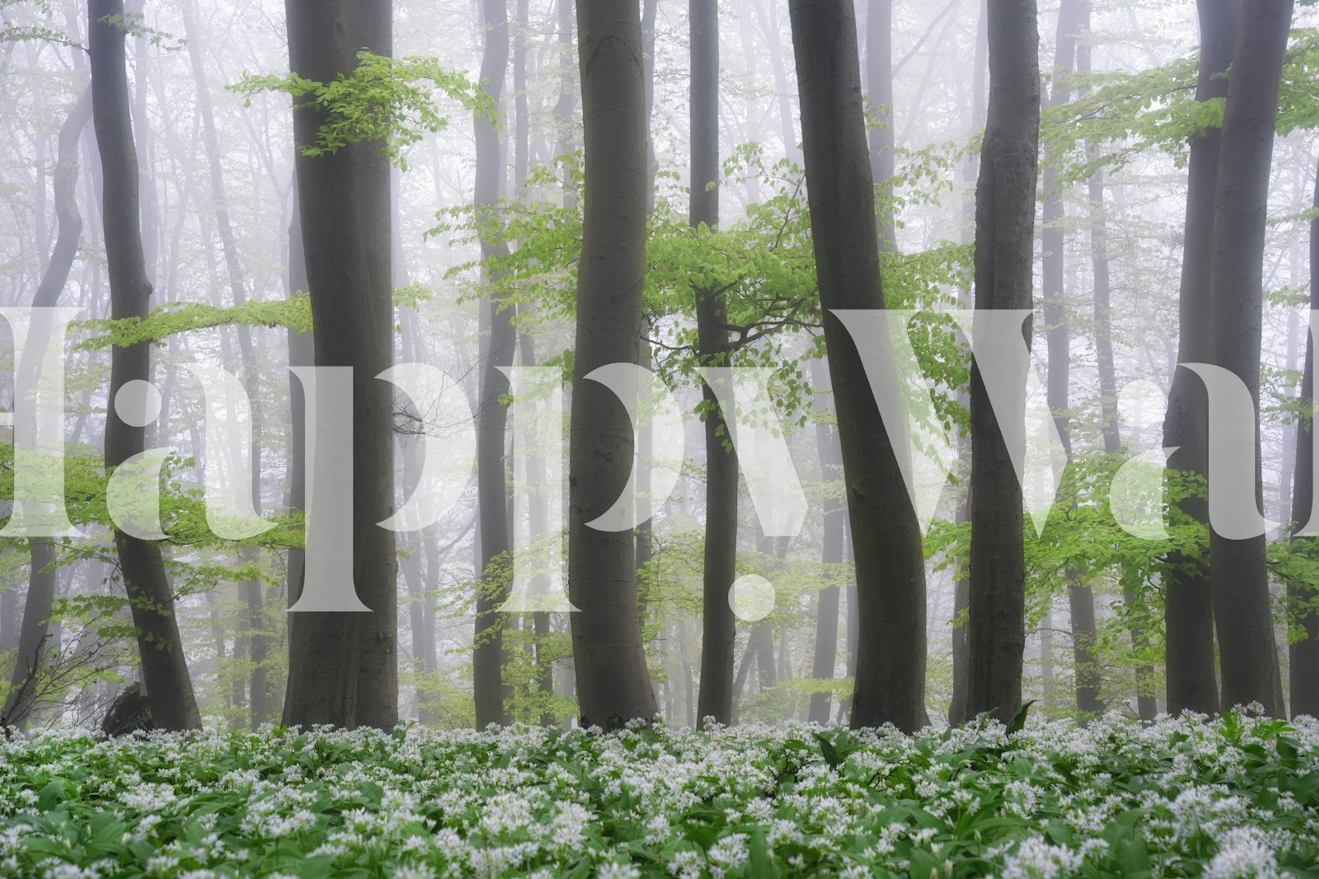 The milky forest wallpaper in a room