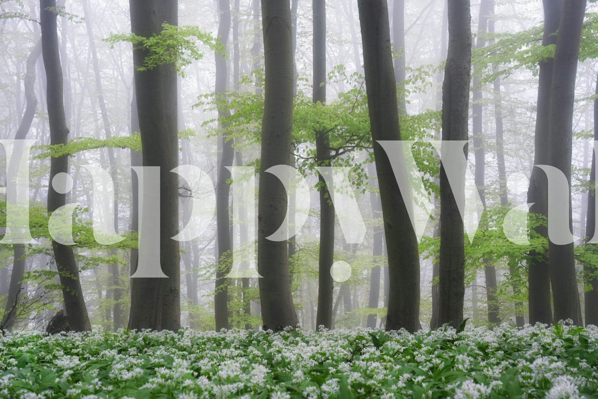 The milky forest carta da parati in una stanza